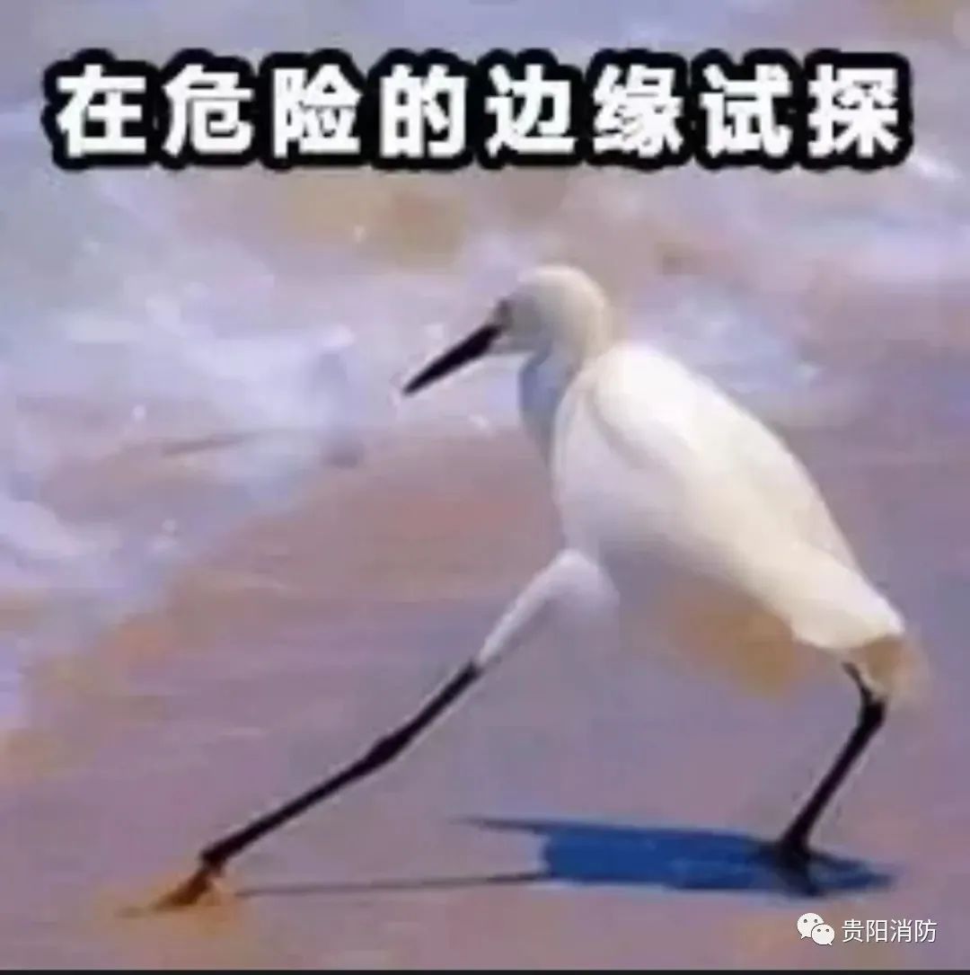 DƬ